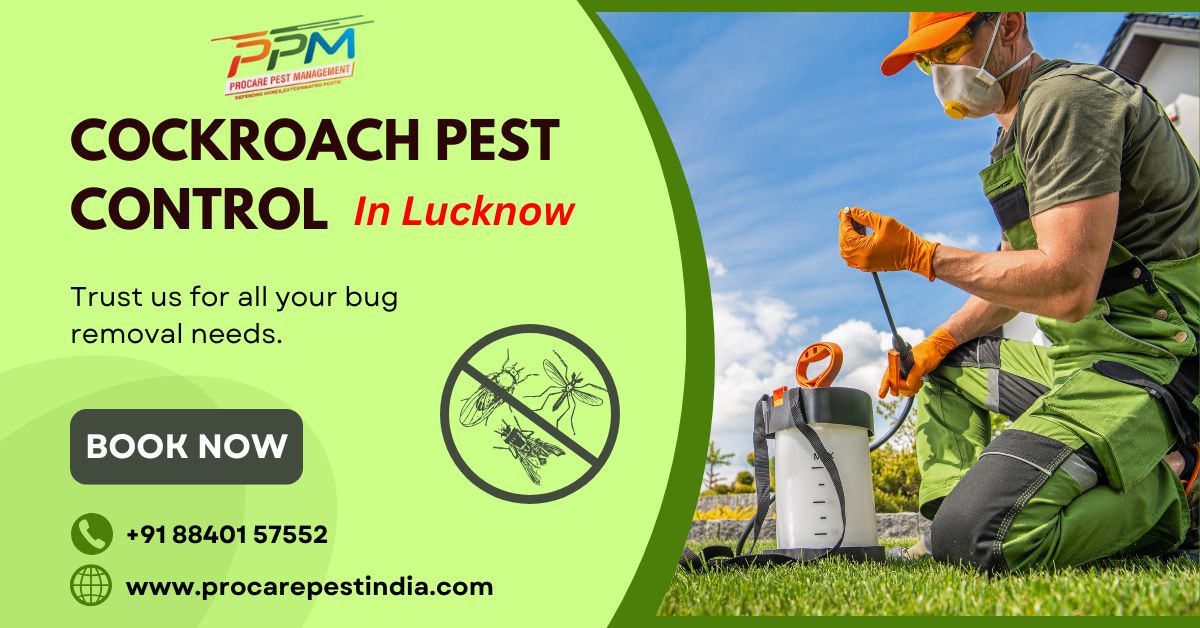 Cockroach Pest Control in Lucknow