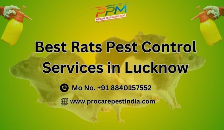 Best Rats Pest Control Services in Lucknow