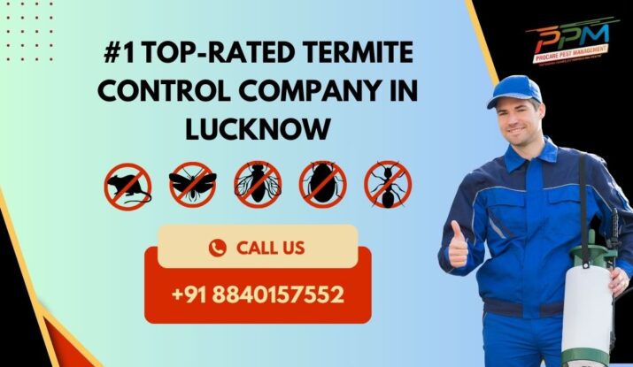 Our Termite Control Process