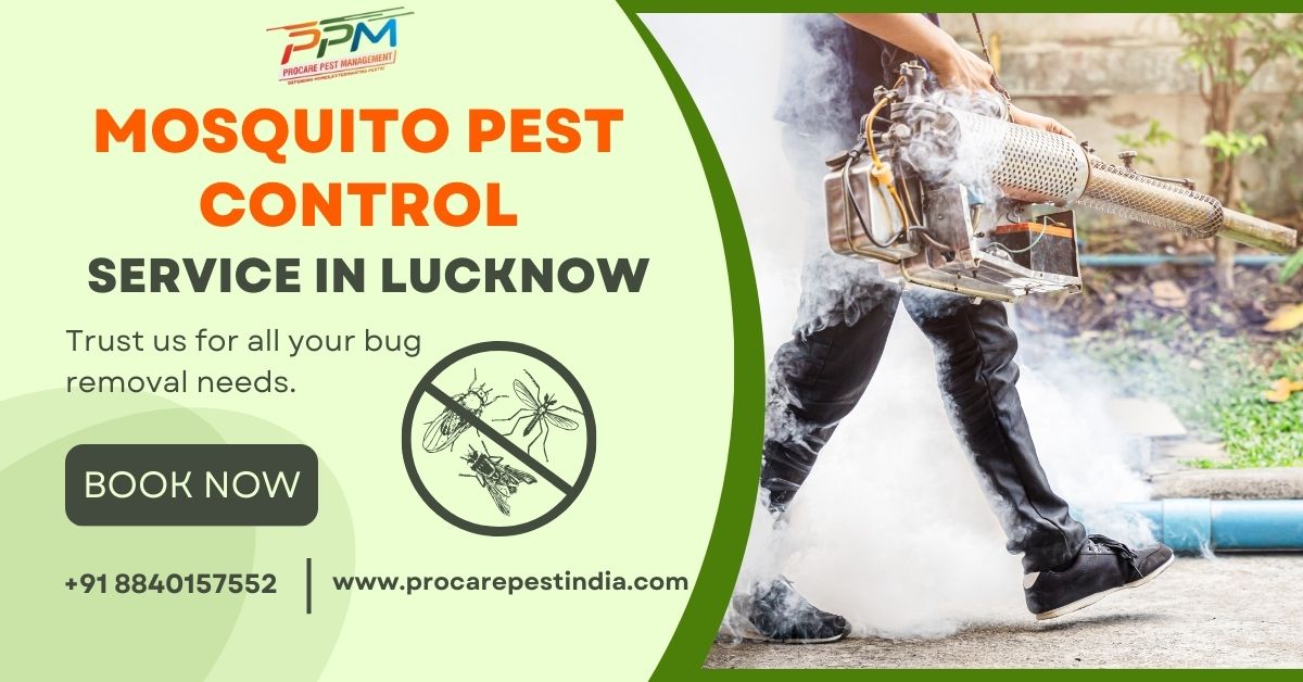 Mosquito Pest Control Service in Lucknow