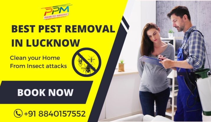 Best Pest Removal in Lucknow
