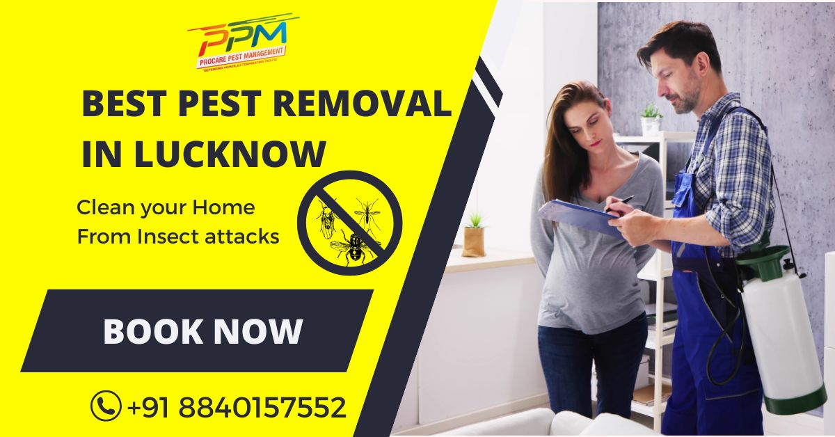 Best Pest Removal in Lucknow