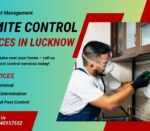 Best Termite Pest Control Near Me
