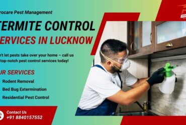 Best Termite Pest Control Near Me