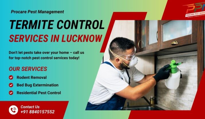 Best Termite Pest Control Near Me