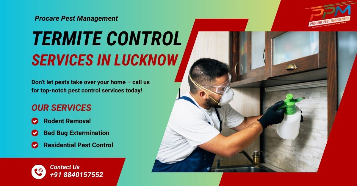 Why Is Termite Pest Control Important in Lucknow?