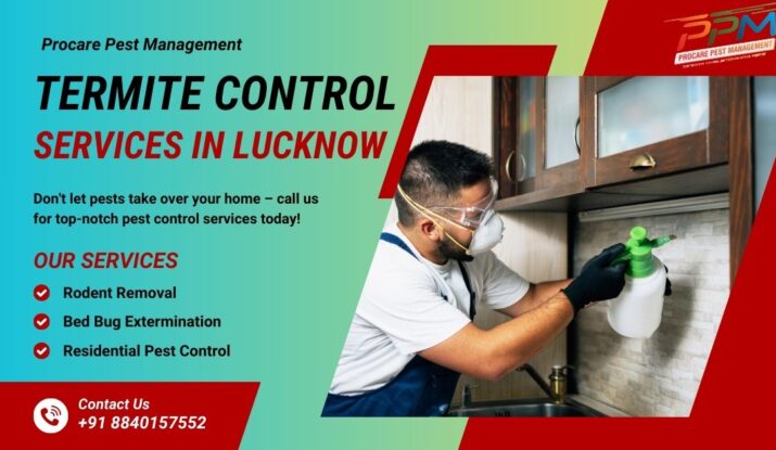 Termite Pest Control Service in Lucknow