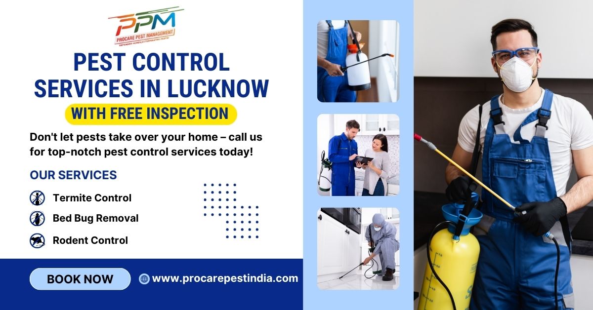 Our Termite Control Services in Lucknow