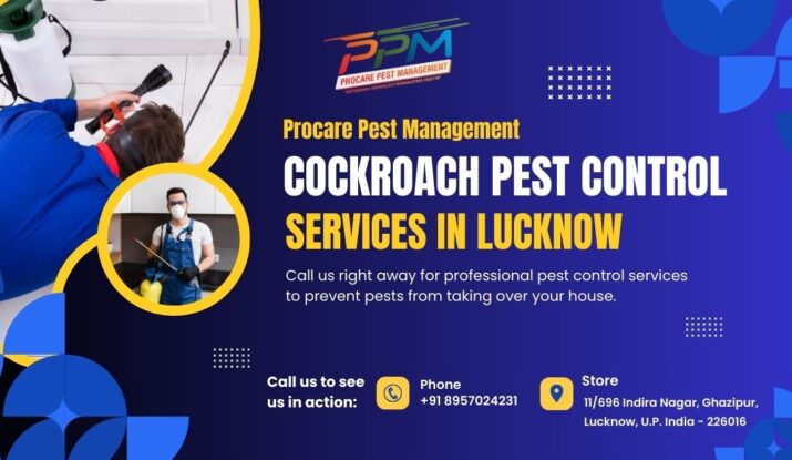 20% Off Cockroach Pest Control Services in Lucknow