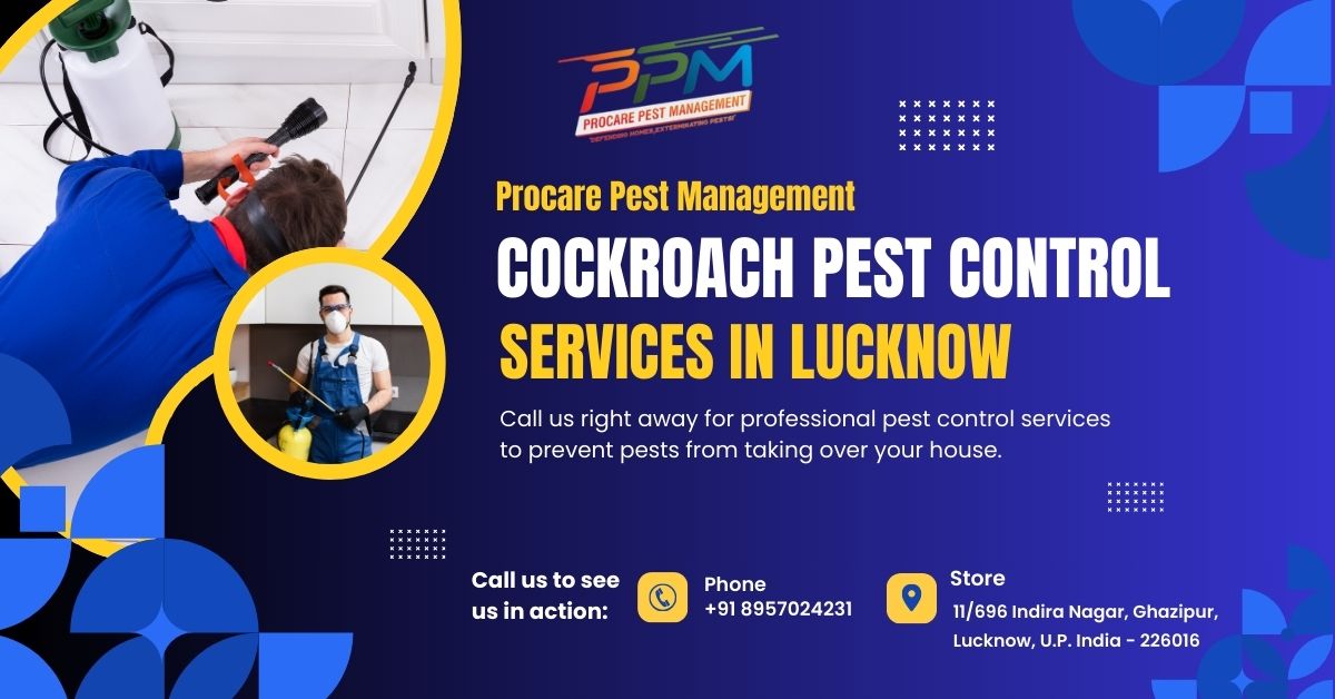 20% Off Cockroach Pest Control Services in Lucknow