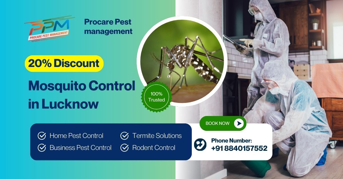 20% Discount - Mosquito Control in Lucknow