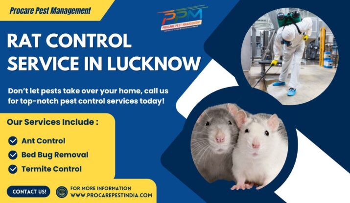 Affordable Rat Control in Indira Nagar Lucknow
