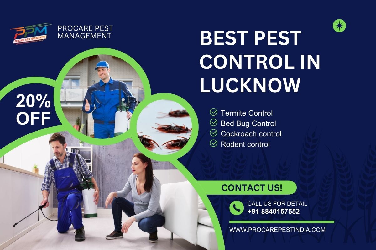 Our Mosquito Control Process