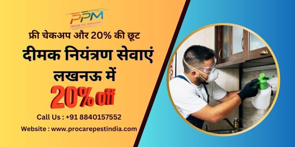 Termite Treatment Service In Lucknow