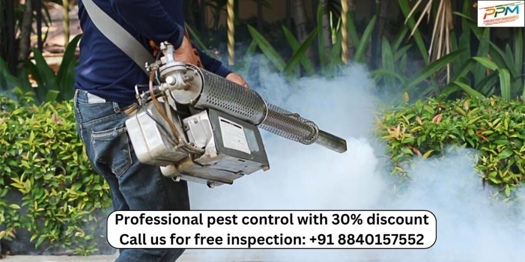 Best Mosquito Control in Lucknow