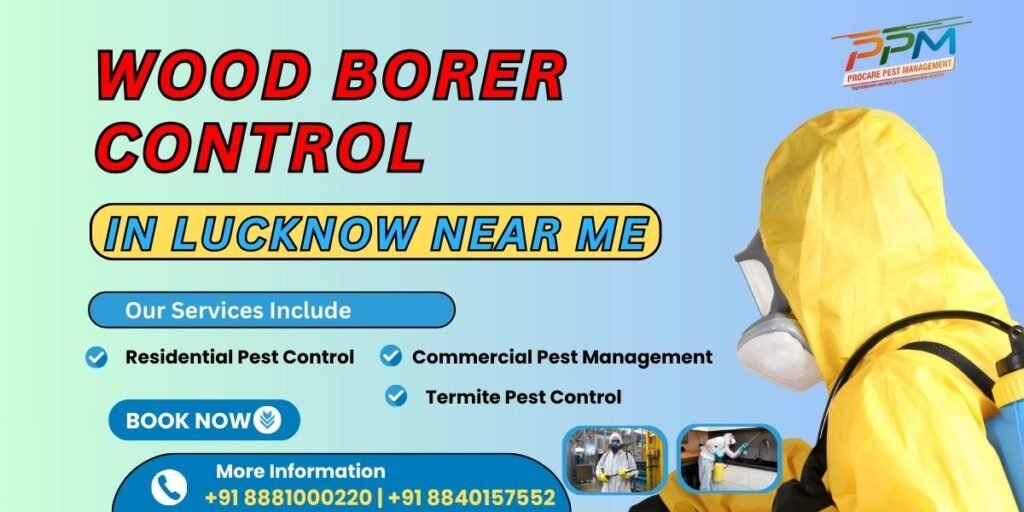 Wood Borer Control in Lucknow Near Me