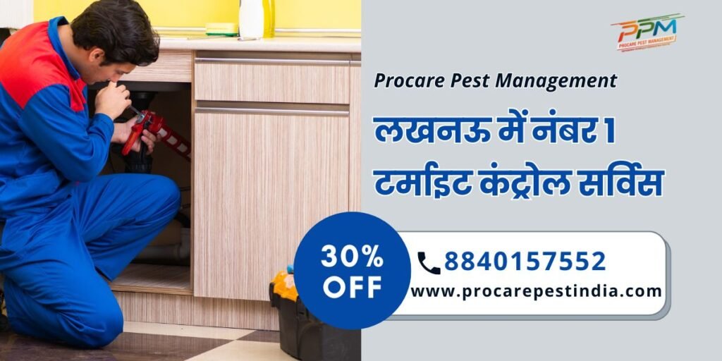 Termite Control Service Lucknow