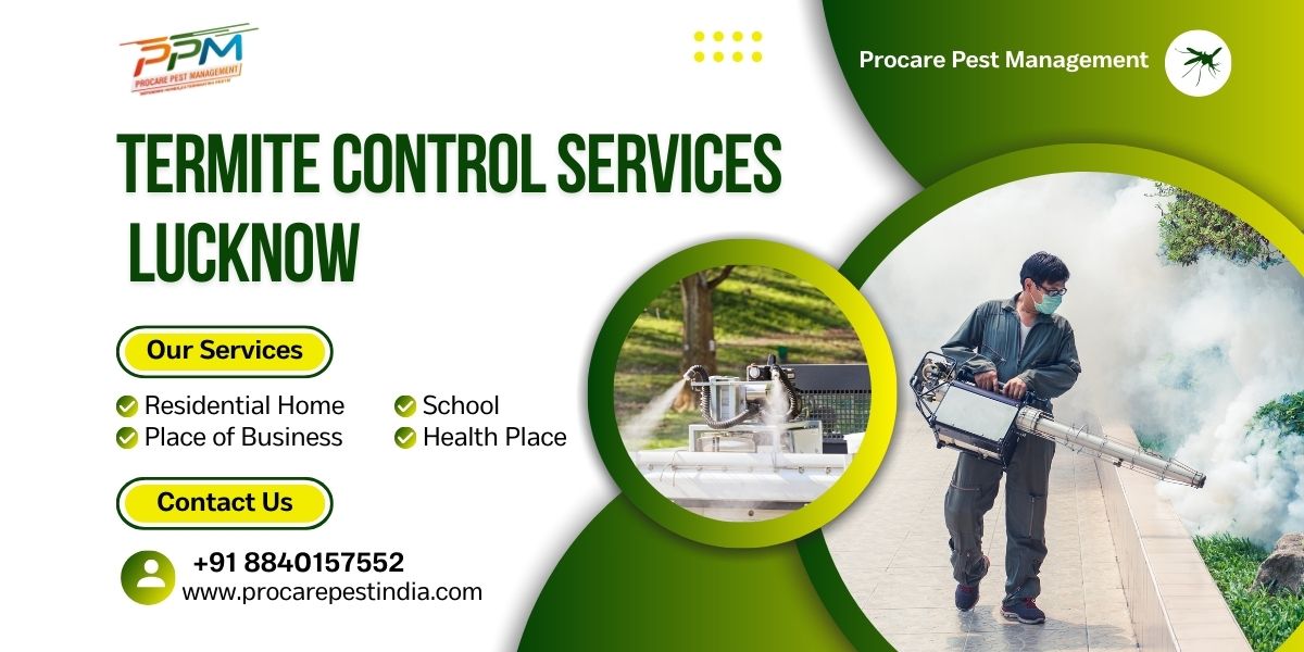 Termite Control Services Lucknow