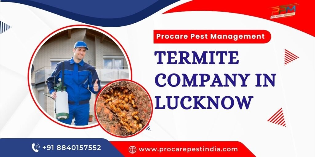 Our Termite Pest Control Services