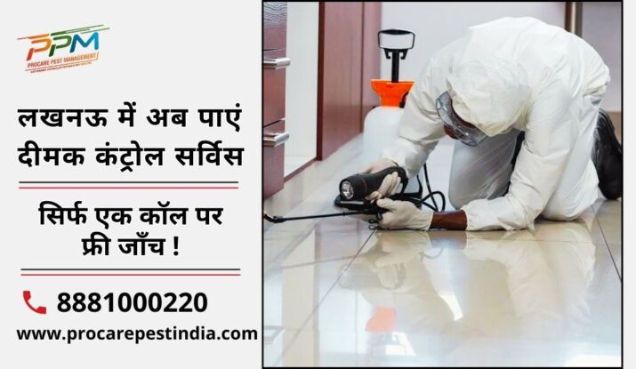 Pest Control in Lucknow: Understanding Local Challenges
