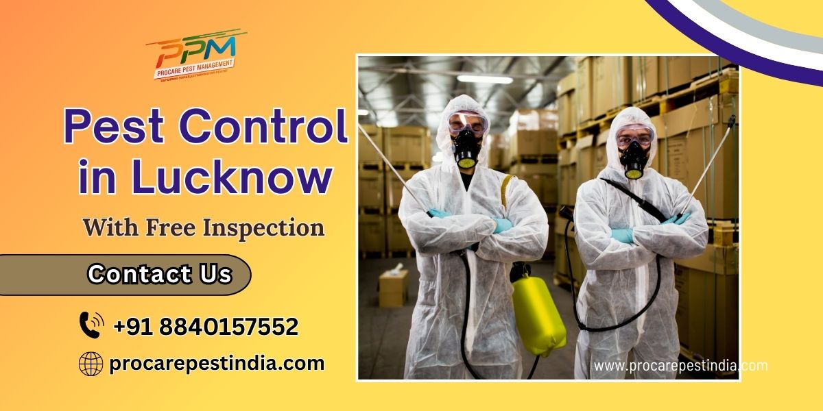 Pest Control in Lucknow with Free Inspection