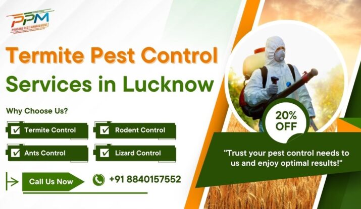 Termite Pest Control Services in Lucknow