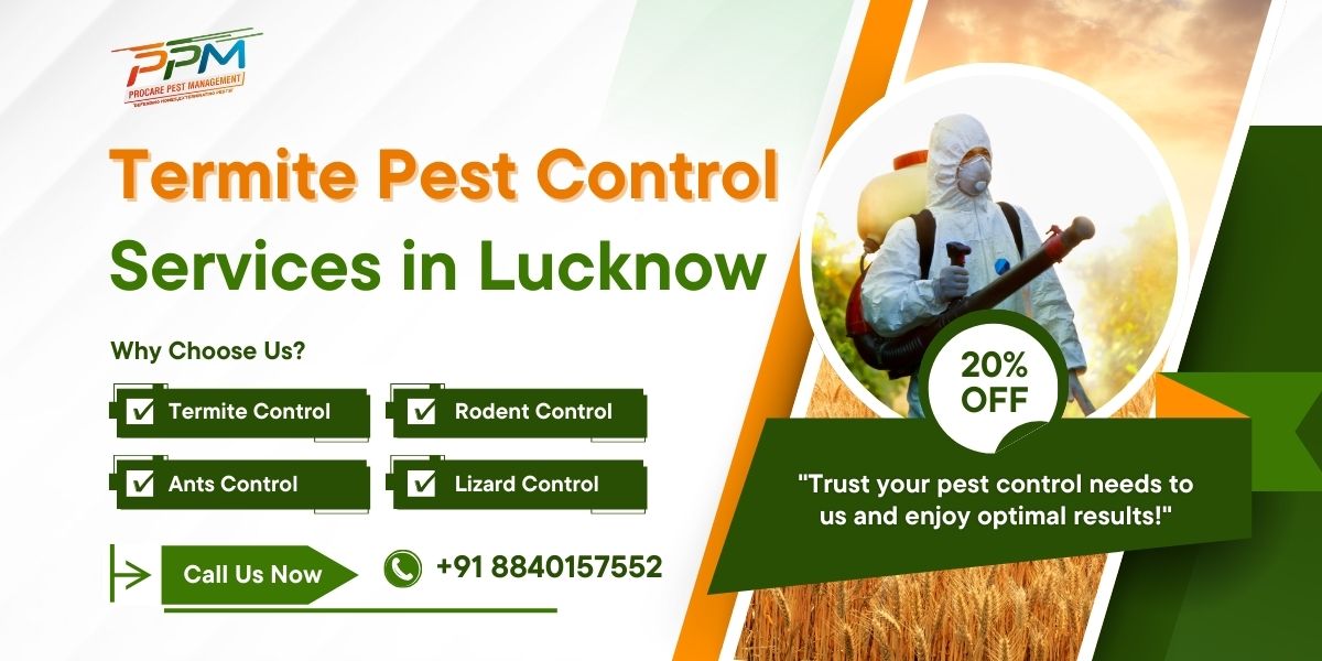 Termite Pest Control Services in Lucknow