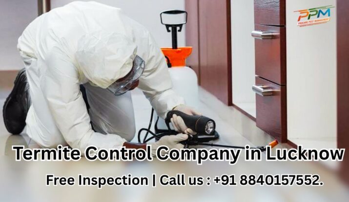 Best Termite Control Company in Lucknow