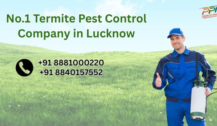 Top 5 Termite Pest Control Company in Lucknow
