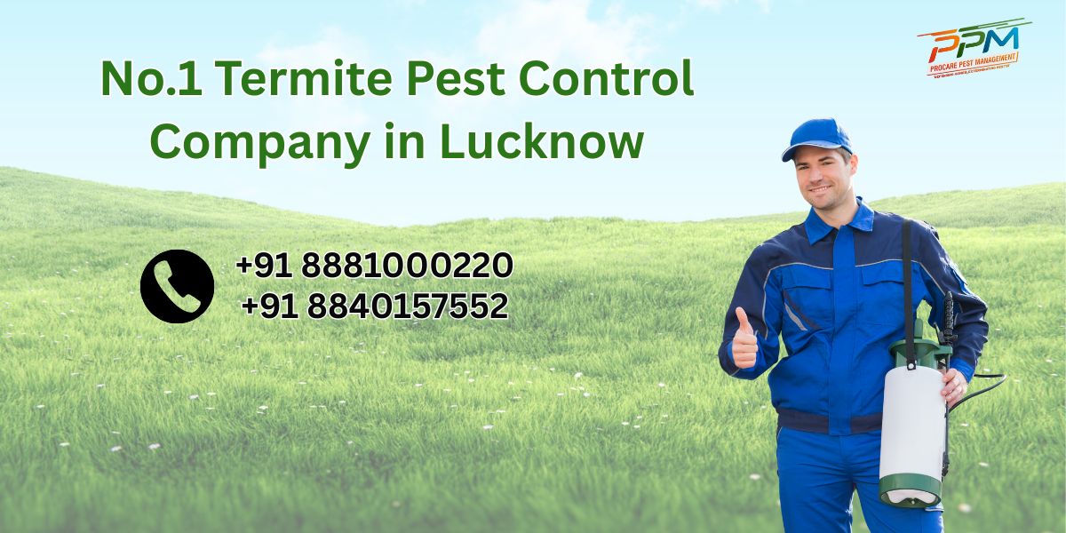 Top 5 Termite Pest Control Company in Lucknow
