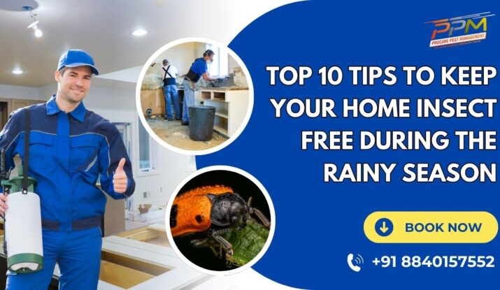 Top 10 Tips to Keep Your Home Insect-Free During the Rainy Season