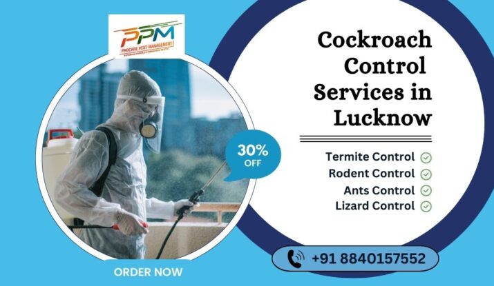 Cockroach Control Services in Lucknow