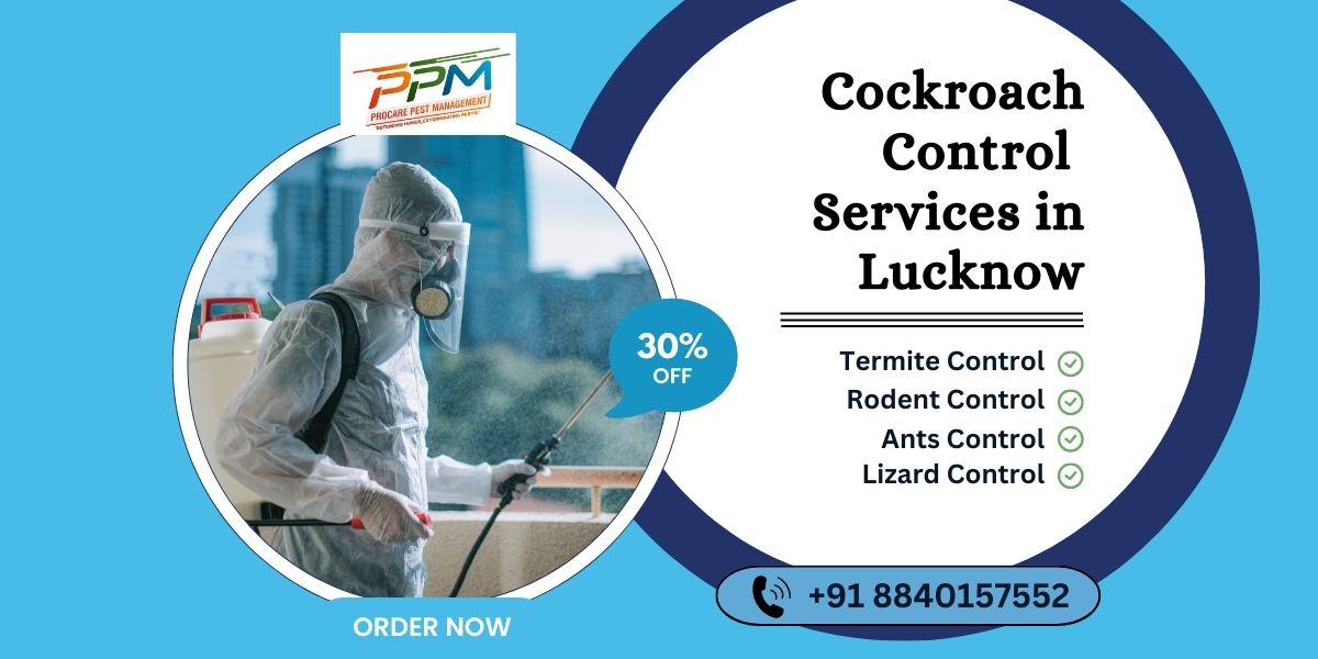 Cockroach Control Services in Lucknow