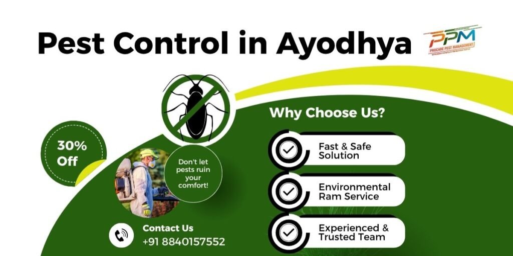 Top 10 Benefits of Choosing Professional Pest Control Services in Ayodhya