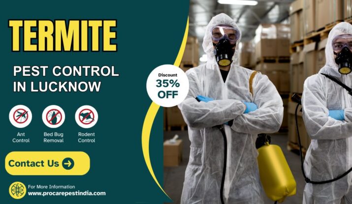 Termite Pest Control in Bangala Bazar, Lucknow