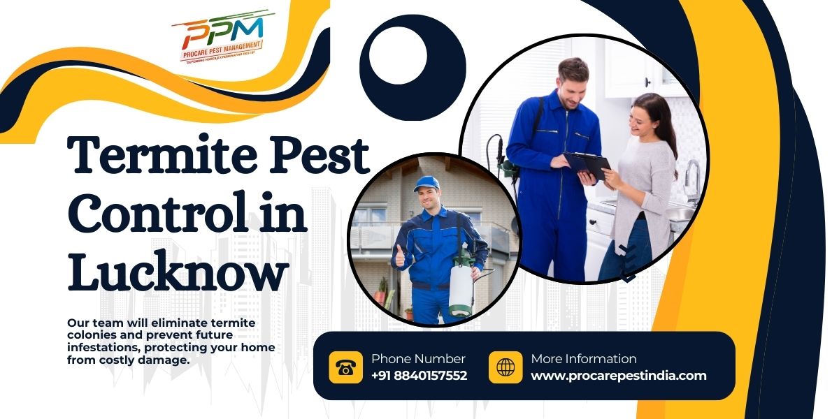 How Procare Treats Termites: The Process