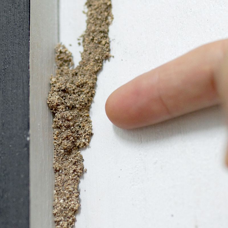 termite control - procare pest india