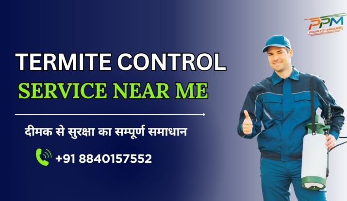 Termite Control Service Near Me