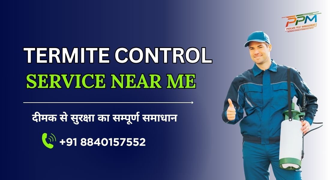 Termite Control Service Near Me
