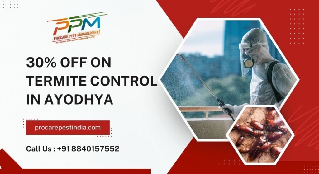 Termite Control in Ayodhya
