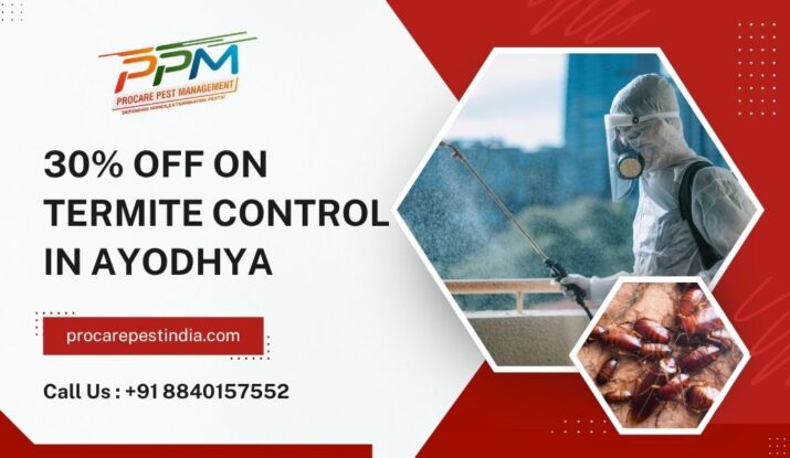 Termite Control in Ayodhya