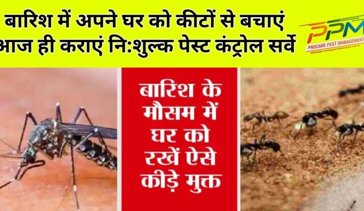 Protect Your Home This Monsoon – Free Pest Control Inspection!