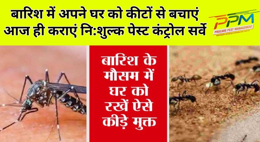 Protect Your Home This Monsoon – Free Pest Control Inspection!