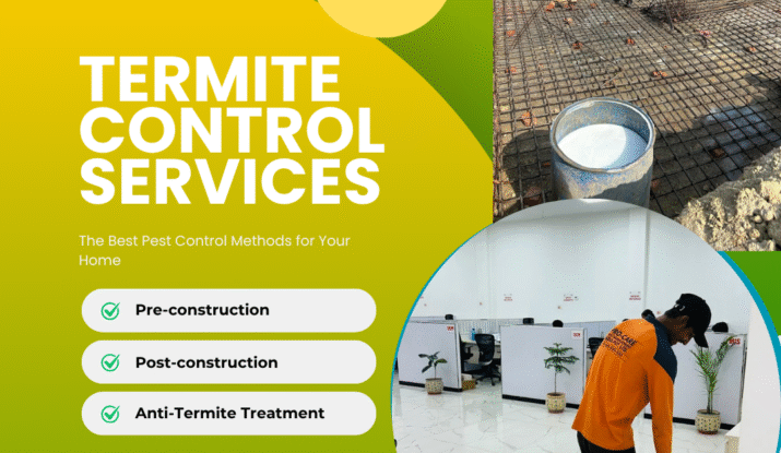 Termite Control Service in Aliganj