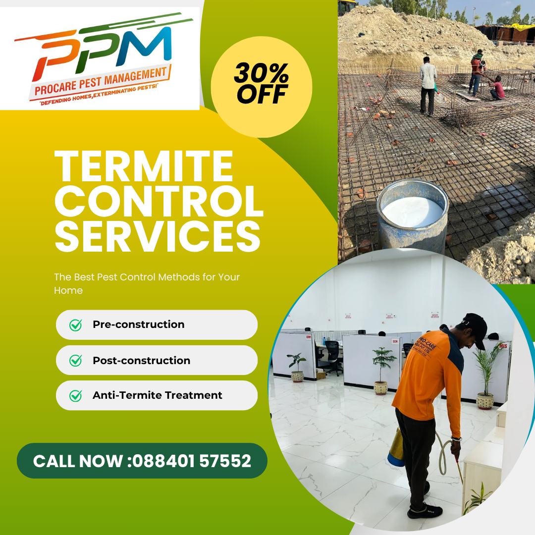 Termite Control Service in Aliganj