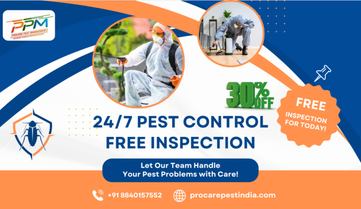 Pest Control in Lucknow