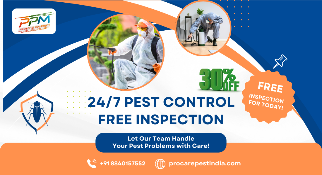 Pest Control in Lucknow