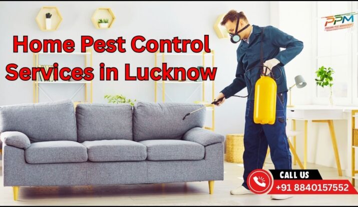 Home Pest Control Services in Lucknow