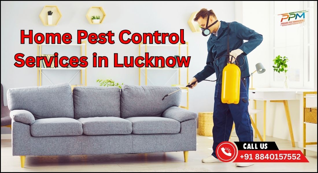 Home Pest Control Services in Lucknow