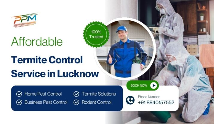 Affordable Termite Control Service in Lucknow
